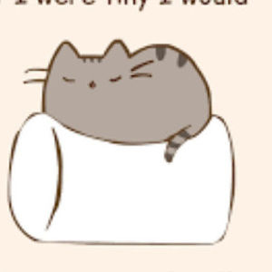 Meet your Posher, Johnette l.